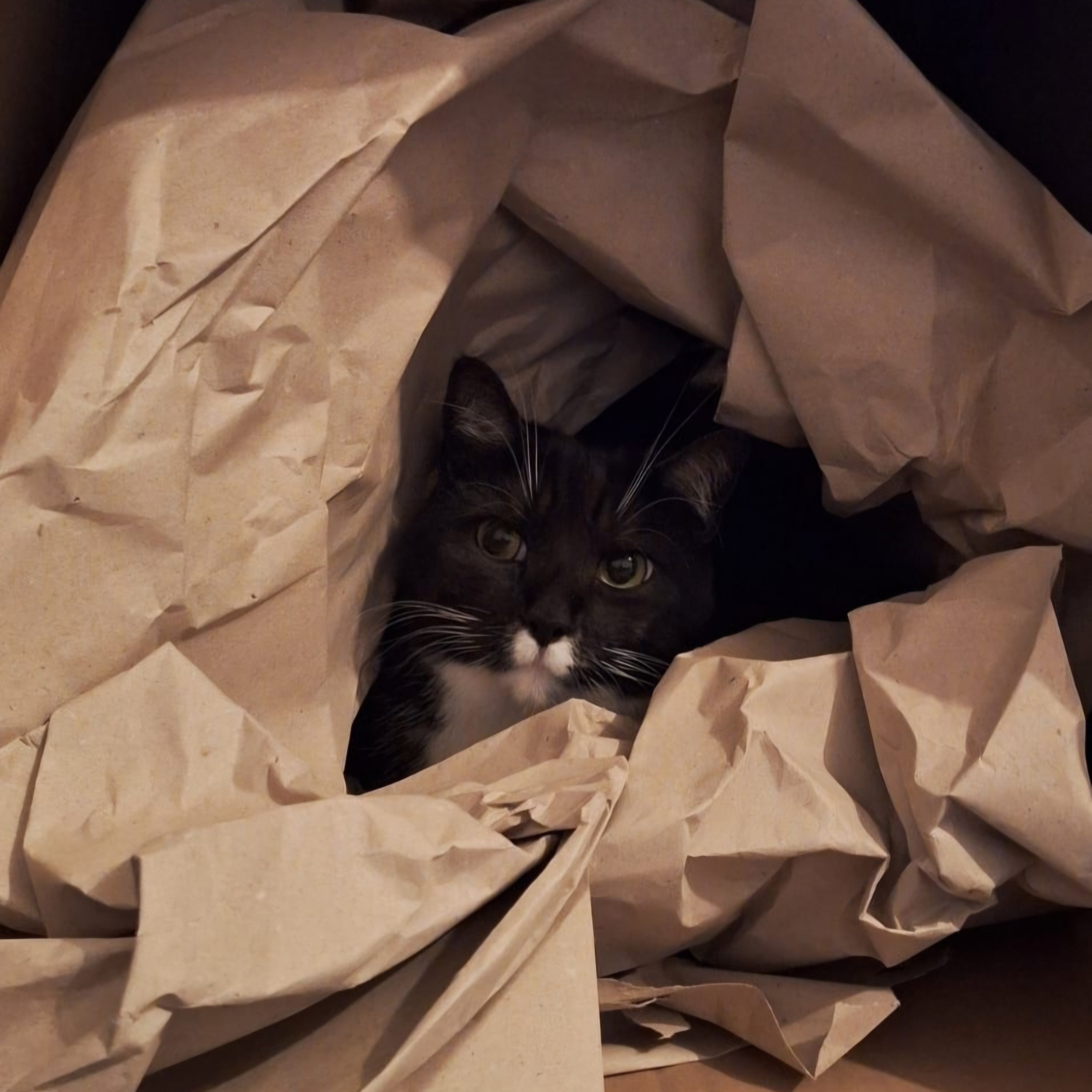 image attachment to status post